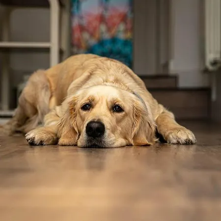 Prázdninový dům Miraleon *